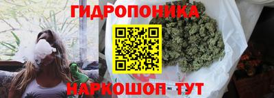 кокс Кинель
