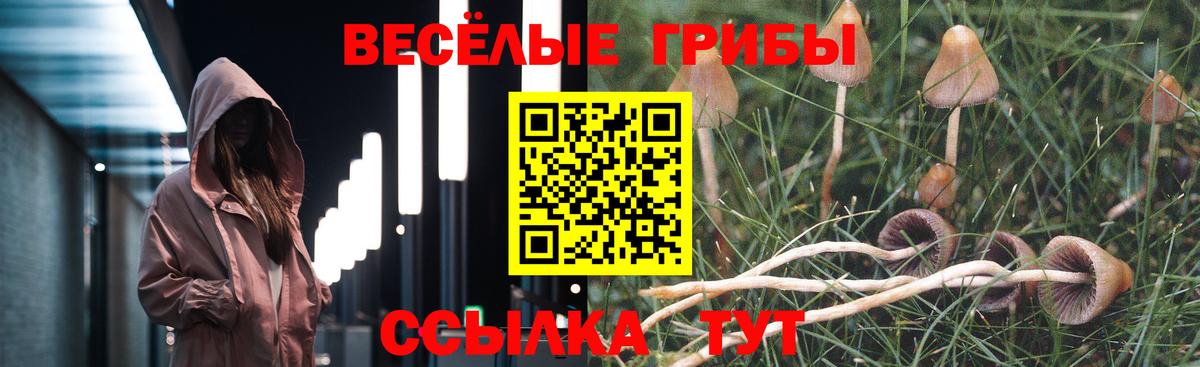 Корсаков  Галлюциногенные грибы мицелий  Галлюциногенные грибы MAGIC MUSHROOMS  Вход с VPN 